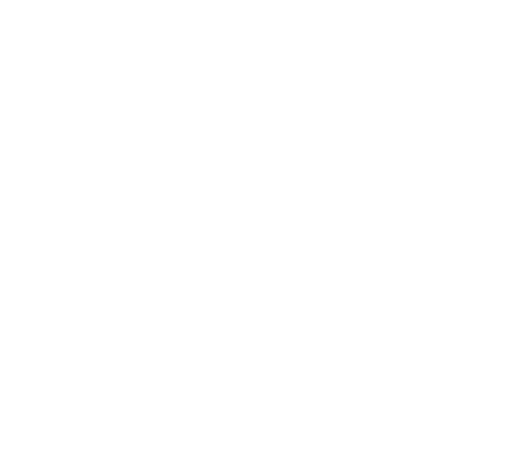 Apex Liverpool Logo in white